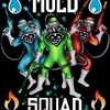Mold Squad Restoration